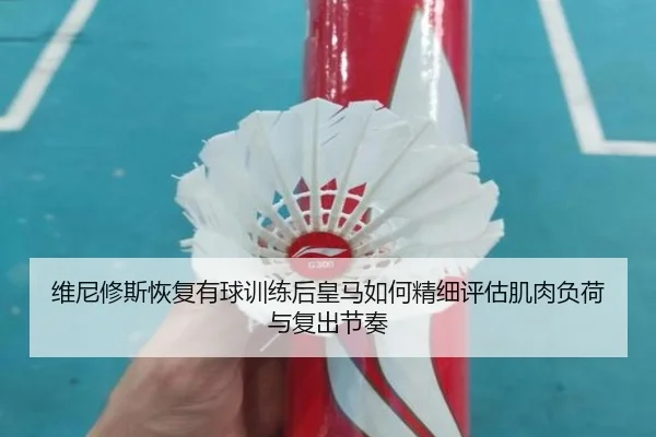维尼修斯恢复有球训练后皇马如何精细评估肌肉负荷与复出节奏